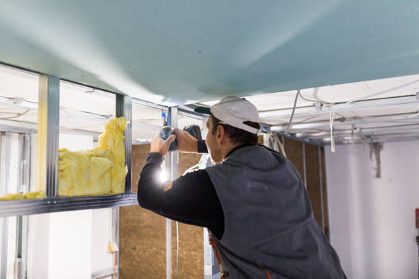 Best Cellulose Insulation in Pine Lake Park, NJ
